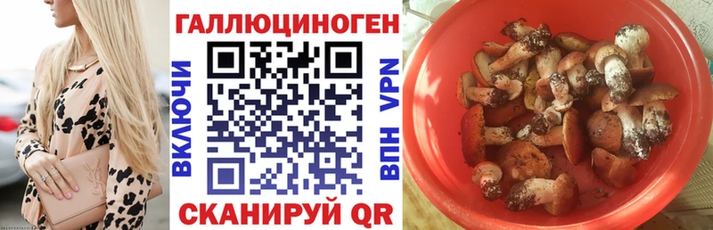 Псилоцибиновые грибы прущие грибы  Вольск 