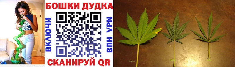 Конопля THC 21%  Вольск 